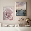 Zestaw plakatów - 40x50 cm molo i róża (45)