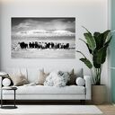 plakat - fotografia islandzkie konie III 70x50 cm