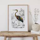 Plakat Vintage Ptak 40x50 cm Hogstudio - stylowe wnętrze