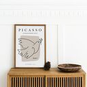 Picasso Gołębica szkic - plakat 50x70 cm na ścianę