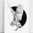 Plakat czarnobiały sowa księżyc - format 40x50 cm