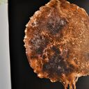 Drzewa, botanika, komplet 3 plakatów autorskich