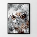 Plakat obraz sowa 50x70 cm B2