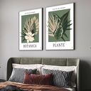 Zestaw plakatów botanicznych 40x50 cm - monstera i liście