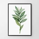 Plakat obraz gałązka 50x70 cm B2