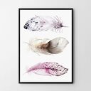 Plakat obraz boho piórka 50x70 cm B2