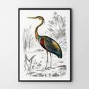 Plakat Vintage Ptak 40x50 cm Hogstudio - stylowe wnętrze