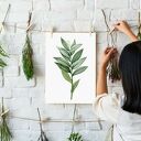 Plakat obraz Gałązka A4 21 x 29,7 cm - zielono-biały botaniczny