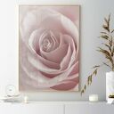 Molo i Róża 45 - zestaw 2 plakatów 50x70 cm do salonu (bez ram)