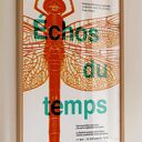 Plakat Entomologiczny Vintage z Ważką (Rozmiar 50x70cm - Druk Pigmentowy