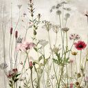 Zestaw plakatów 2x 30x40 cm Łąka (set257) - natura na ścianę