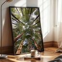 Zestaw 2 plakatów 40x50 cm Las (set210) - pejzaż na ścianę