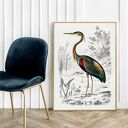 Plakat vintage z ptakiem 30x40 cm - Hogstudio