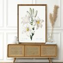 Plakat White Flowers 30x40 cm - białe kwiaty w stylu vintage