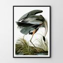 Plakat obraz Heron 30x40 cm