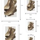 Plakat botaniczny z liściem 50x70 cm (GC -21 -991)