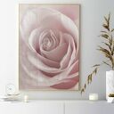 Plakat z delikatną różą 40x50 cm (GC - 21 743)