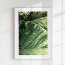 Zestaw plakatów 30x40 cm - Natura, butelkowa zieleń (tryptyk botaniczny)