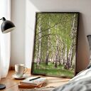Tryptyk plakatów 30x40 cm Natura - brzozy, chabry i trawy