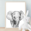 Zestaw plakatów dziecięce Safari 40x50 cm - 3 sztuki, bez ram