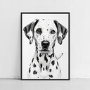 Plakat Dalmatyńczyk 61x91 cm - duży pies w ilustracji
