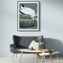Plakat Obraz White Vintage A4 21x29.7 cm - Motyw ptaka