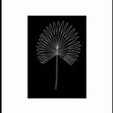 Plakat czarno-biały z roślinną grafiką - zestaw 2 szt., 30x40 cm (czerń i biel)