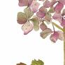 kwiaty plakaty zielone hortensja, plakat A3, reprodukcja