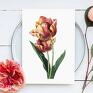 Hogstudio plakaty plakat tulipan 50x70 cm B2 obraz kwiaty