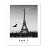 Rozmiar 40x50 cm Czarno biały plakat z miastem. Paryż wieża eiffla