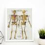 szare plakat anatomiczny retro - 40x50 cm anatomia (8 2 0006)