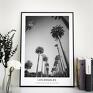 Rozmiar 40x50 cm Czarno biały plakat - Kalifornia, Los Angeles. Palmy