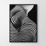 zebra czarno biały - format 50x70 cm - plakaty plakat na prezent