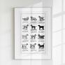 40x50 cm - Rasy psów, (8 2 0006) czarno plakat vintage plakaty retro