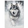 raspberryEM plakat z psem plakaty - malamut w śniegu 50x70 cm (2 0317) czarno białe