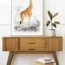 Żyrafa - format 40x50 cm ze zwierzęciem plakaty vintage modny plakat