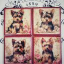 Ozdobne podkładki z pieskami Yorkshire Terrier