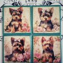 Ozdobne podkładki z pieskami Yorkshire Terrier
