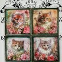 Ozdobne podkładki decoupage Magiczne Kotki
