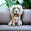 piesek z pieskiem ozdobna poduszka do salonu przytulanka cocker spaniel
