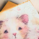 Duże pudełko - Kuferek wspomnień - kotek