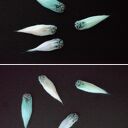 Filcowa kometa 3D - ręcznie robiona dekoracja kosmiczna do pokoju dziecka lub przedszkola