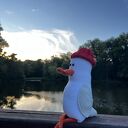 Szydełkowana mewa w czerwonej czapce - morska ozdoba