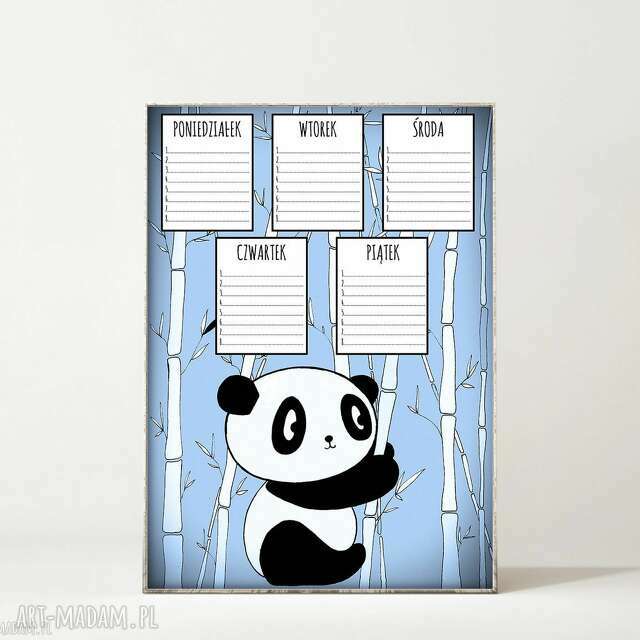 Plan lekcji. Panda