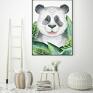 Plakat obraz panda 50x70 cm B2 - grafika