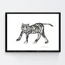 Biało czarny plakat z tygrysem, kartonik w rozmiarze 21x30 cm. Zoo