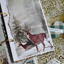 🎀⛄❄️ Nadchodzi zima🤍/ album / dziennik na zdjęcia i zimowe zapiski