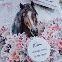 Kartka na 18. urodziny dla miłośniczki koni, w pudełku
