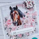 Kartka urodzinowa dla miłośniczki koni 2, personalizacja