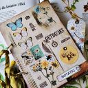 🌿🥀Natura Notatnik /zeszyt / zielnik